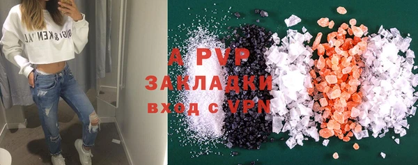 крисы Новокубанск