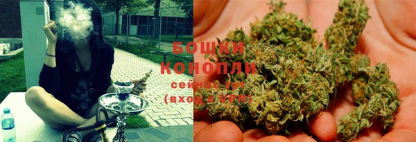 крисы Новокубанск