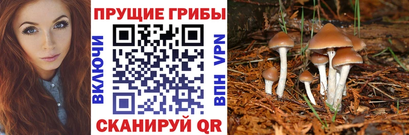 Галлюциногенные грибы MAGIC MUSHROOMS  МЕГА ссылки  Островной 